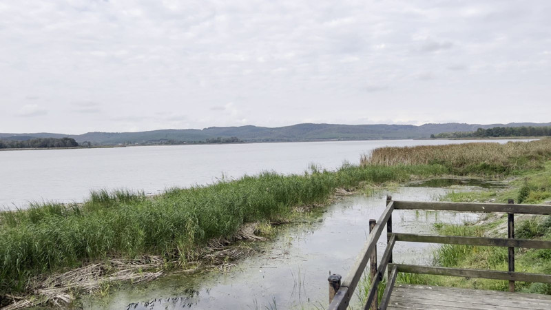 Norveç'le kıyaslanıyordu! Sakarya'daki Akgöl alarm veriyor - Resim: 4
