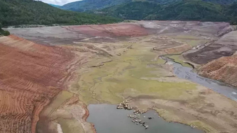 Norveç'le kıyaslanıyordu! Sakarya'daki Akgöl alarm veriyor - Resim: 7