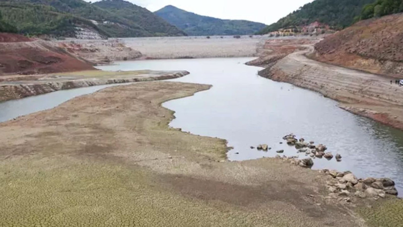 Norveç'le kıyaslanıyordu! Sakarya'daki Akgöl alarm veriyor - Resim: 8