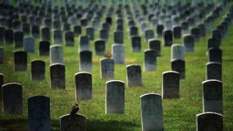 Dünyanın en ilginç meslekleri açıklandı! İşte gerçek olduğuna inanamayacağınız meslekler - Resim: 6