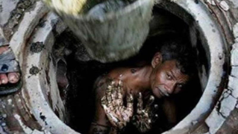 Dünyanın en ilginç meslekleri açıklandı! İşte gerçek olduğuna inanamayacağınız meslekler - Resim: 7