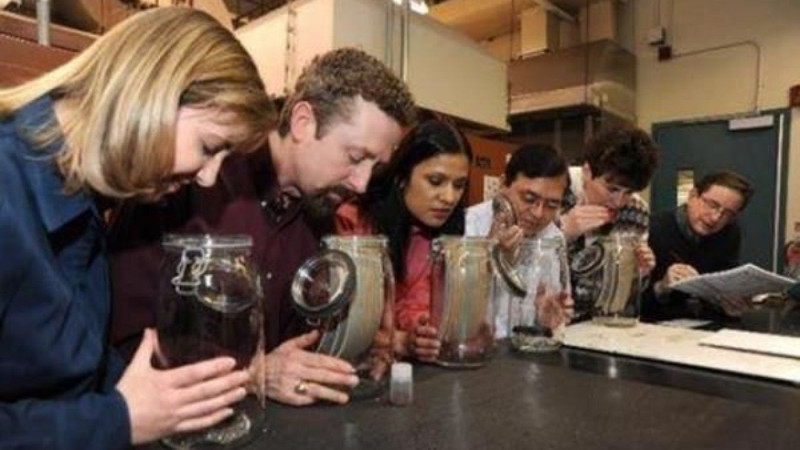 Dünyanın en ilginç meslekleri açıklandı! İşte gerçek olduğuna inanamayacağınız meslekler - Resim: 9