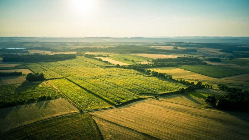 Türkiye'nin en ucuz imarlı arsaları bu illerde! Fiyatı duyan araştırmaya başlıyor - Resim: 12