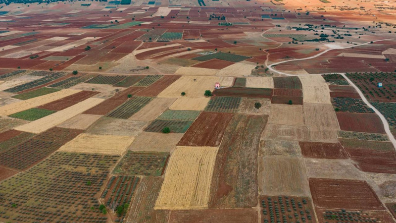 Türkiye'nin en ucuz imarlı arsaları bu illerde! Fiyatı duyan araştırmaya başlıyor - Resim: 17