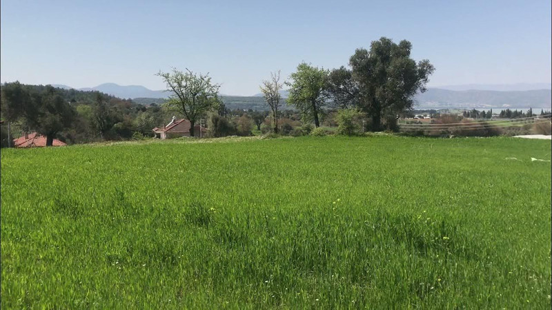 Türkiye'nin en ucuz imarlı arsaları bu illerde! Fiyatı duyan araştırmaya başlıyor - Resim: 4