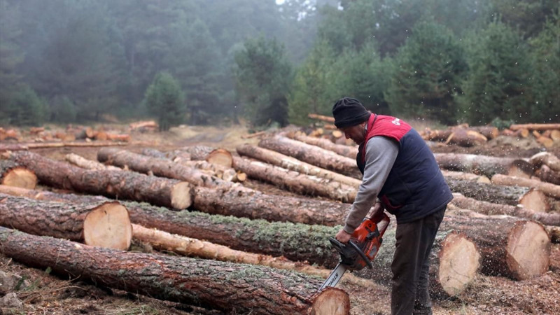 Türkiye'nin en tehlikeli 10 mesleği açıklandı! Bu işler cesaret istiyor - Resim: 10
