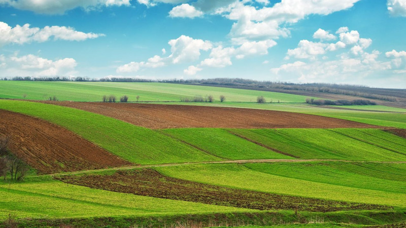 Türkiye'de arsa yatırımı dengesi değişti! Bu şehirlerin değeri daha hızlı artıyor - Resim: 9