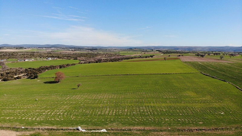 Türkiye'de arsa yatırımı dengesi değişti! Bu şehirlerin değeri daha hızlı artıyor - Resim: 2