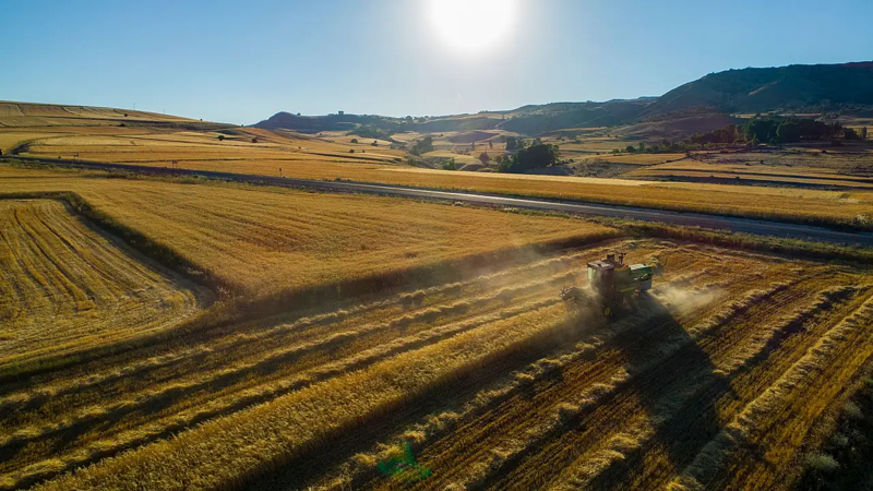 Türkiye'de arsa yatırımı dengesi değişti! Bu şehirlerin değeri daha hızlı artıyor - Resim: 4