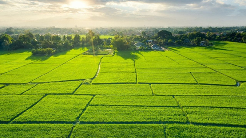 Türkiye'de arsa yatırımı dengesi değişti! Bu şehirlerin değeri daha hızlı artıyor - Resim: 5