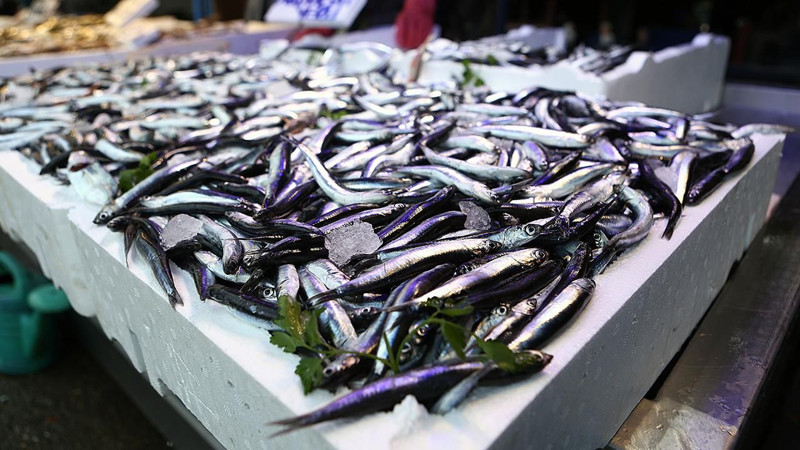 Trabzon'da hamsinin kilosu 100 lira oldu! - Resim: 4