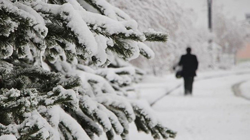 Lapa lapa kar geliyor! Meteoroloji illeri sıraladı - Resim: 12