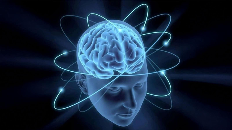 Dünyanın en zeki ülkeleri belli oldu! Bakın Türkiye kaçıncı sırada - Resim: 8