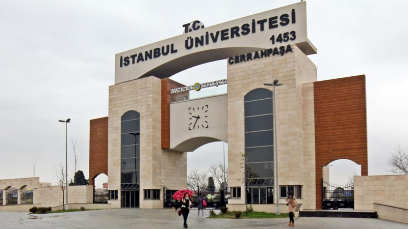 Dünya sıralaması açıklandı! İlk 1000’de 13 Türk üniversitesi yer aldı - Resim: 15