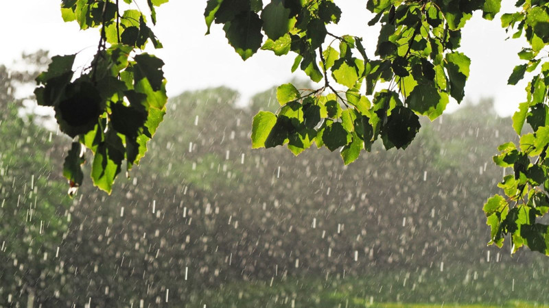 Meteoroloji’den bölge bölge uyarı! Kuvvetli sağanak ve fırtına geliyor - Resim: 2