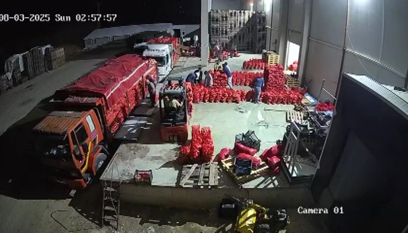 Amasya'da üretilip Avrupa'ya gönderiliyor! Kilosu 5 lira - Resim: 1