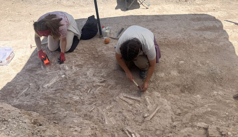 Kayseri'de çoban keşfetti! 7.7 milyon yıllık - Resim: 5