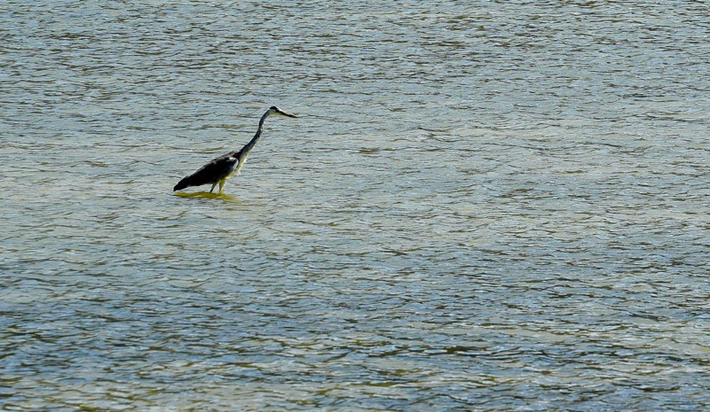 Bosna Hersek'in saklı doğal güzellikleri - Resim: 3