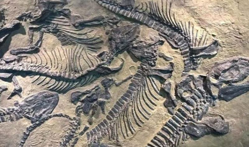 Çin'de keşfedildi! Bilim insanlarını heyecanlandırdı - Resim: 1