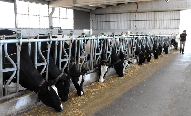 Aksaray'da devletten 3.2 milyon TL'lik hibe alarak kurdu! Şimdi 33 bin TL maaşla çalışacak işçi bulamıyor - Resim: 6