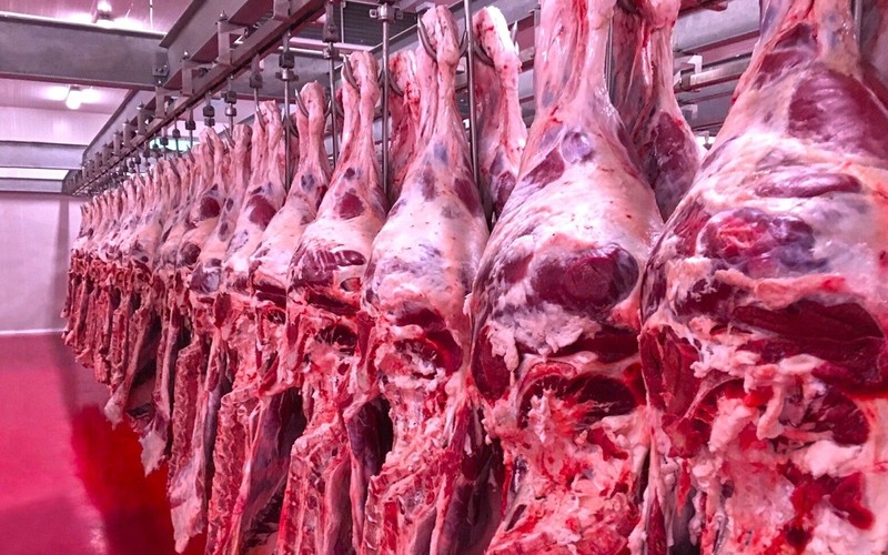 Karkas et fiyatlarına yarından itibaren zam! - Resim: 8