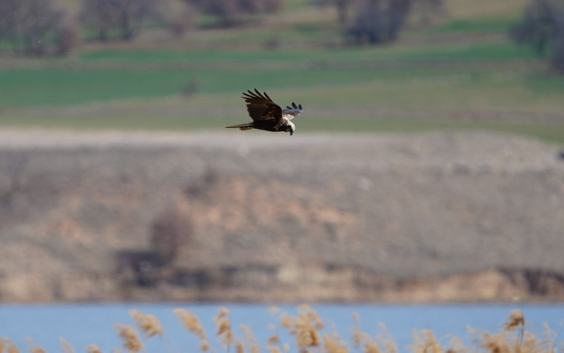 Kırıkkale'de görüntülendi! Herkesi şoke etti - Resim: 6