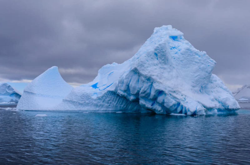 Bu ülkelerde hiç yılan yok! İşte hiç yılan olmayan ülkeler... - Resim: 1