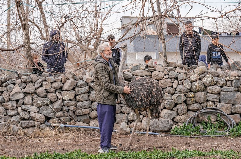 Kalpleri ısıtan dostluk… Tel örgüleri yırtıp kaçtı, onu büyüten adama geri döndü! Diyarbakır’ın Sur ilçesinden Yenişehir’e…. - Resim: 9
