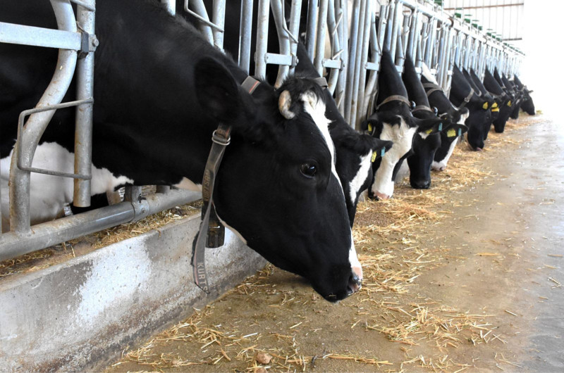 Aksaray'da devletten 3.2 milyon TL'lik hibe alarak kurdu! Şimdi 33 bin TL maaşla çalışacak işçi bulamıyor - Resim: 7