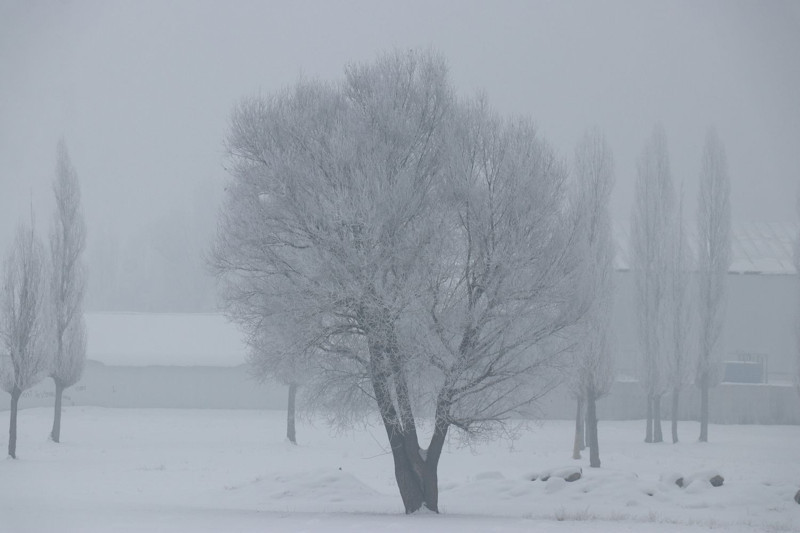 Ağrı'da dondurucu soğuklar etkili oldu: İşte o ilginç görüntüler - Resim: 3