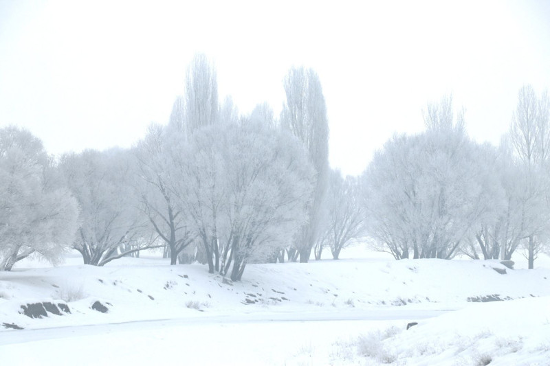 Ağrı'da dondurucu soğuklar etkili oldu: İşte o ilginç görüntüler - Resim: 7