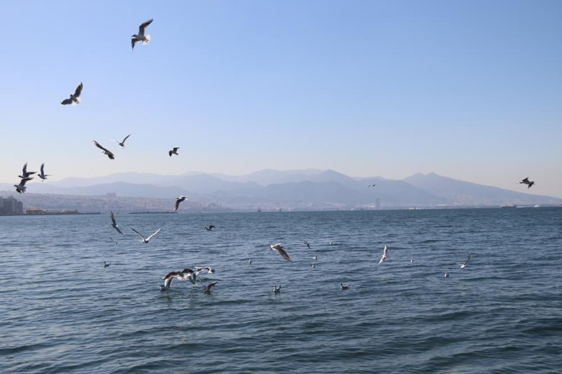 Türkiye'nin bir yanı kar, bir yanı güneş: İzmir'de yazdan kalma günler yaşanıyor - Resim: 7