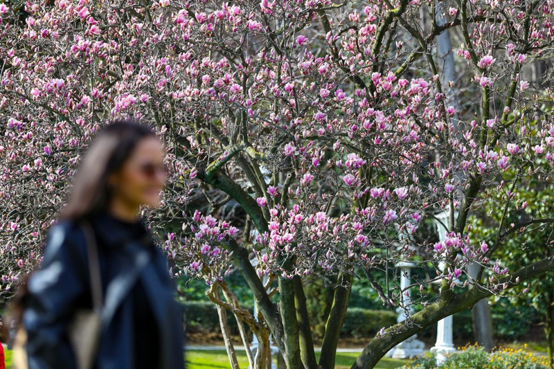 İstanbul'da ilgi odağı oldu! Ziyaret etmenin tam zamanı - Resim: 1