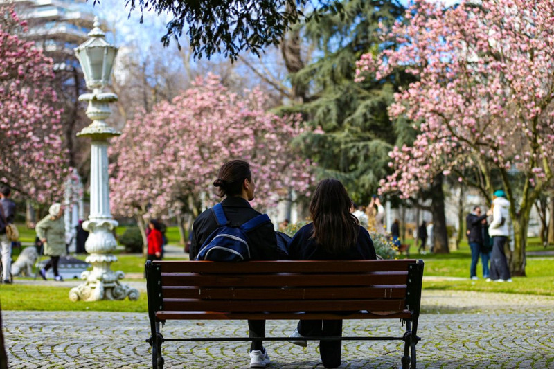 İstanbul'da ilgi odağı oldu! Ziyaret etmenin tam zamanı - Resim: 4