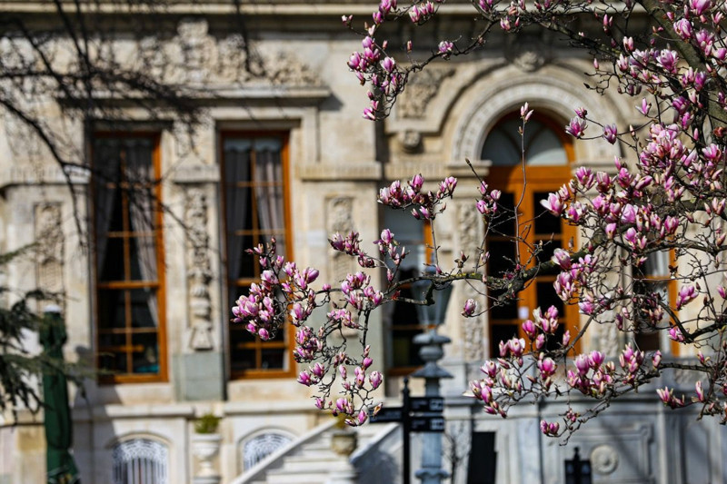 İstanbul'da ilgi odağı oldu! Ziyaret etmenin tam zamanı - Resim: 5