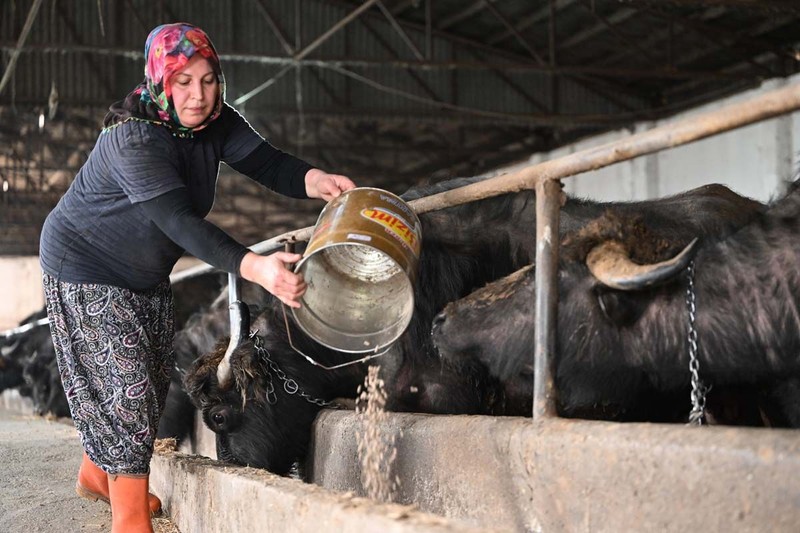 Düzce'de 2018 yılında başladı! Devlet desteğiyle büyüttü! - Resim: 6