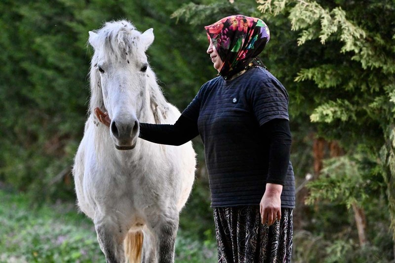 Düzce'de 2018 yılında başladı! Devlet desteğiyle büyüttü! - Resim: 15