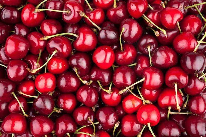 En fazla kiraz üretilen 10 ülke belli oldu! Türkiye zirveye yerleşti - Resim: 7