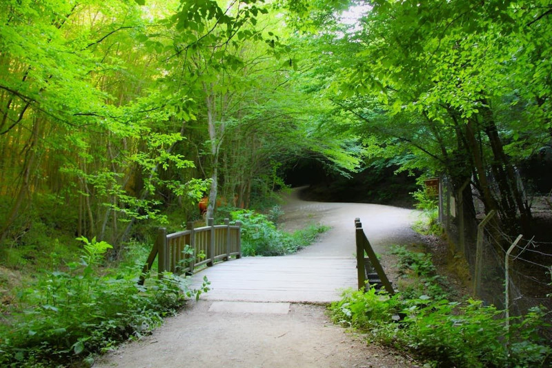 Bayramda İstanbul'da gezilecek yerler - Resim: 4
