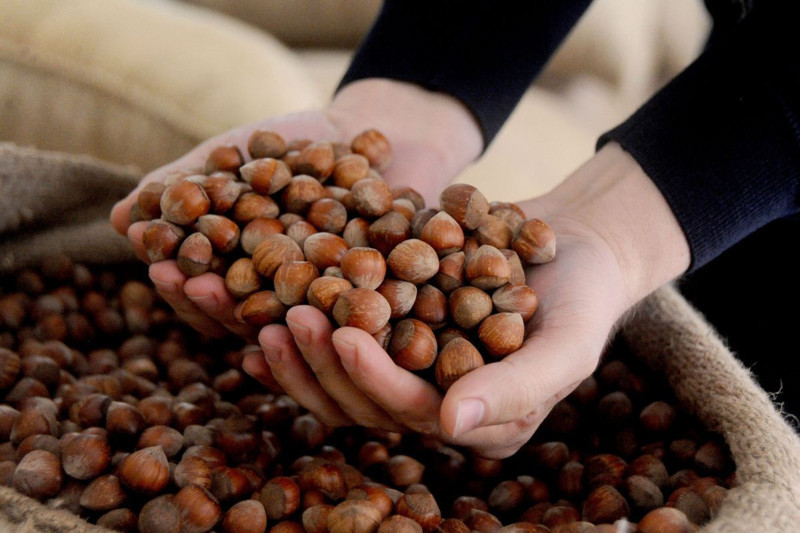 Fındık fiyatları belli oldu! İşte il ve ilçelere göre yeni fiyatlar - Resim: 1