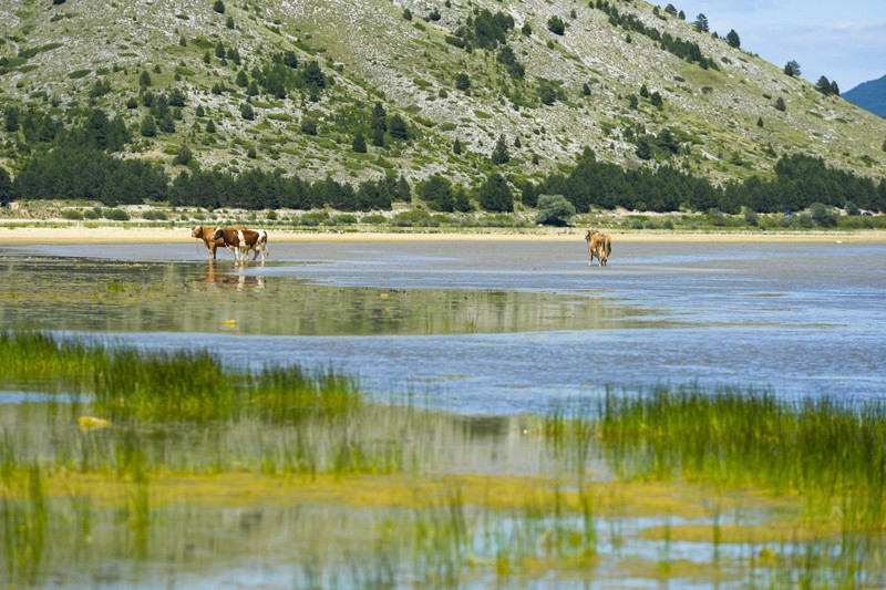 Bosna Hersek'in saklı doğal güzellikleri - Resim: 5