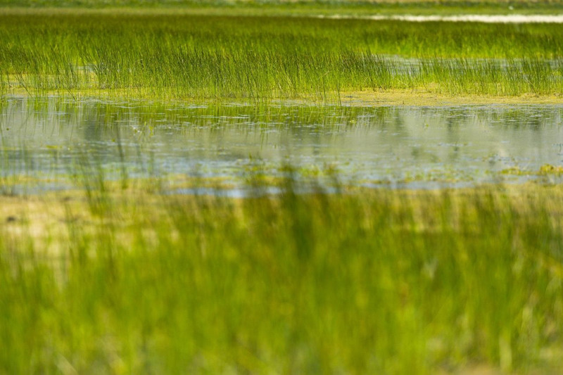 Bosna Hersek'in saklı doğal güzellikleri - Resim: 18