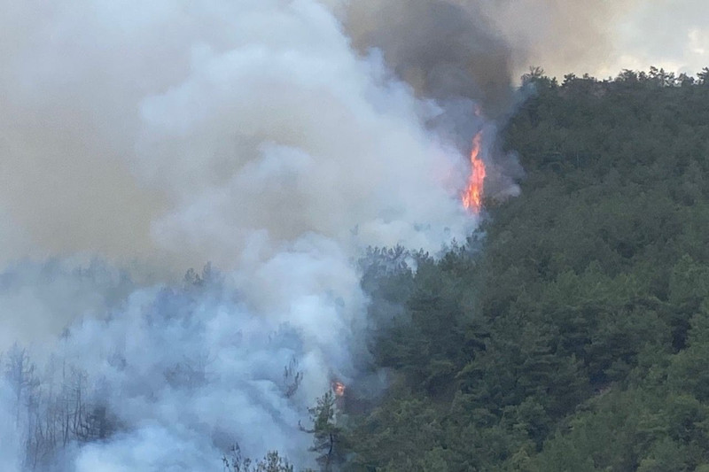 Bugün Türkiye'de meydana gelen yangınlar - Resim: 3