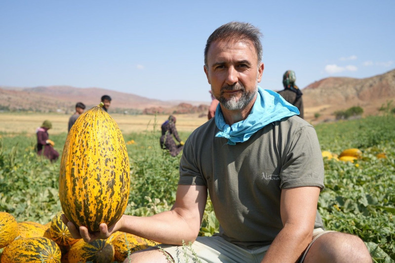 Kırıkkale'nin Delice ilçesinde yetişiyor! 100 ton ürün elde edildi - Resim: 2
