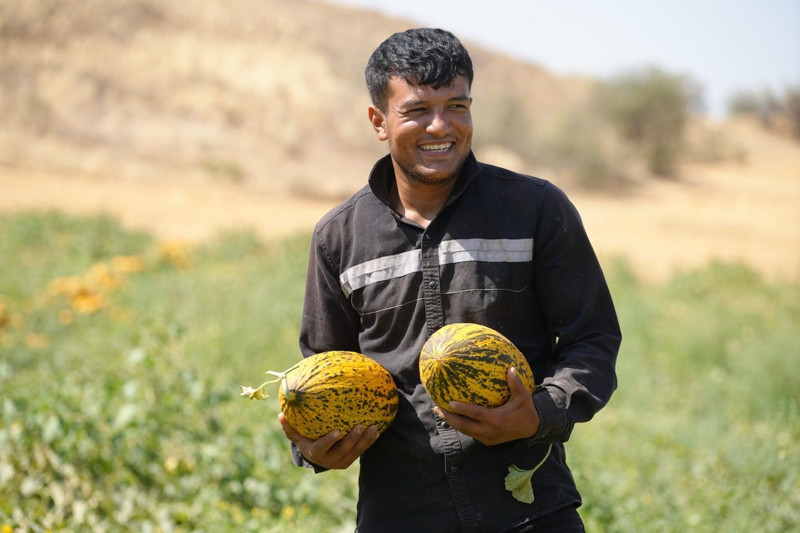 Kırıkkale'nin Delice ilçesinde yetişiyor! 100 ton ürün elde edildi - Resim: 7