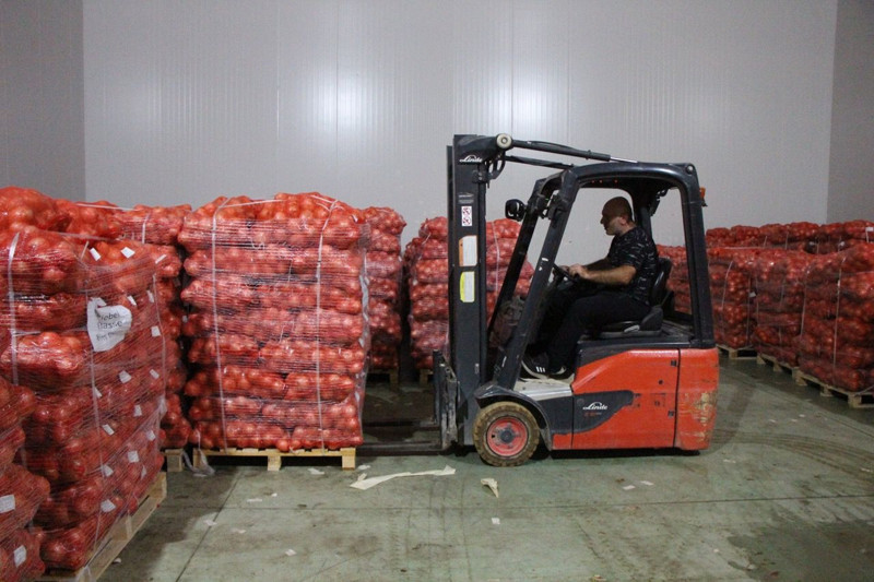 Amasya'da üretilip Avrupa'ya gönderiliyor! Kilosu 5 lira - Resim: 3
