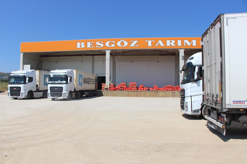 Amasya'da üretilip Avrupa'ya gönderiliyor! Kilosu 5 lira - Resim: 7