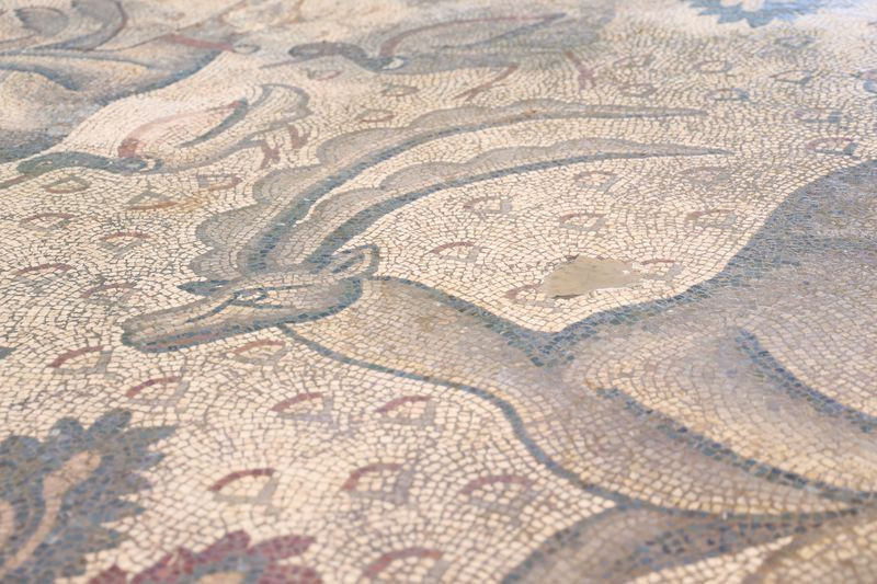 Elazığ'da bulunmuştu! Bin 700 yıllık mozaiğin sırrı çözüldü - Resim: 9