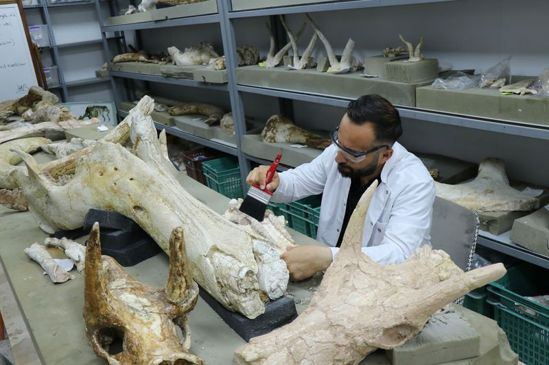 Kayseri'nin Kocasinan ilçesinde bulundu! Tam 7.7 milyon yıllık - Resim: 2