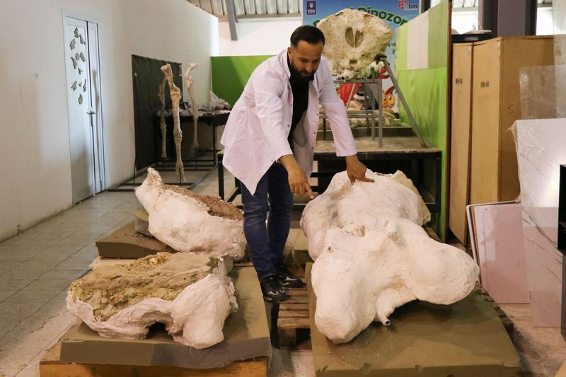 Kayseri'nin Kocasinan ilçesinde bulundu! Tam 7.7 milyon yıllık - Resim: 3